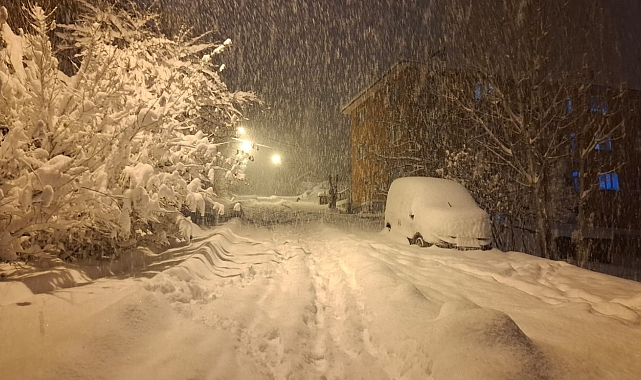 Tunceli&#039;de Yoğun Kar Yağışı Nedeniyle Okullar Tatil Edildi