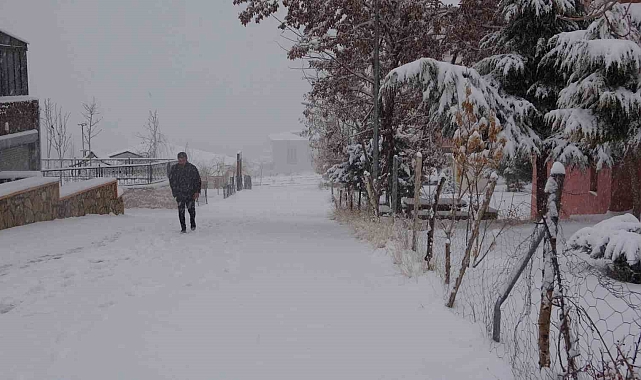 Van&#039;da Yoğun Kar Yağışı Hayatı Durma Noktasına Getirdi: 560 Yerleşim Yeri Ulaşıma Kapandı