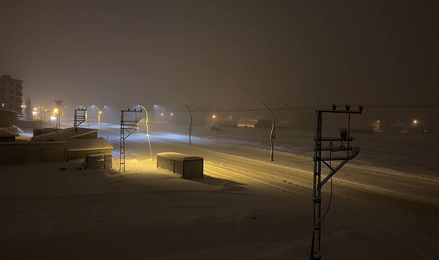 Yüksekova&#039;da Yoğun Kar ve Sis Uçak Seferini İptal Ettirdi