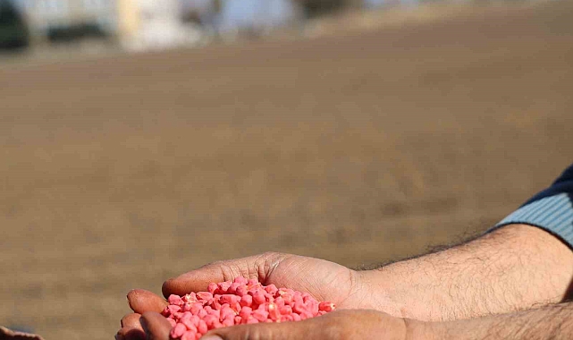 Adana&#039;da Kuraklık Endişesi Çiftçiyi Mısır Ekimine Yöneltti