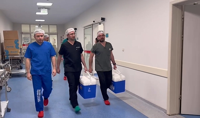 Alanya&#039;da Kazada Hayatını Kaybeden Genç 5 Kişiye Umut Oldu