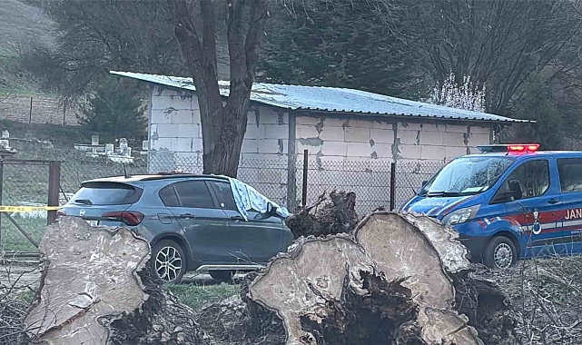 Amca Yeğenini Mezarlık Önünde Öldürdü