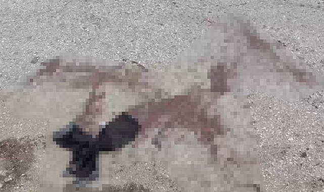 Ankara Siteler&#039;de Esnaf Kavgası: 7 Yaralı