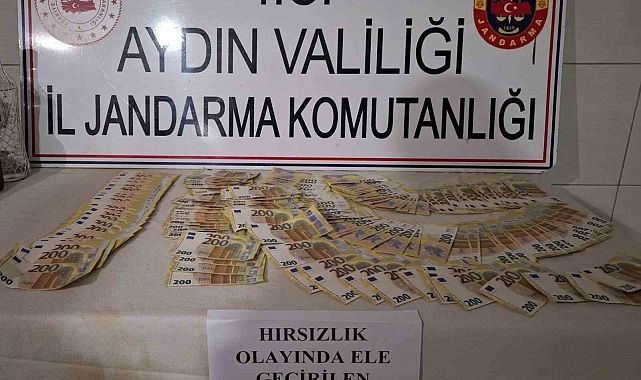 Aydın Bozdoğan&#039;da Milyonluk Hırsızlık: Şüpheli Kısa Sürede Yakalandı