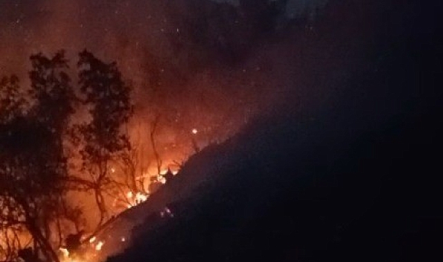 Aydın&#039;ın Köşk İlçesinde Orman Yangını: Hızlı Müdahale ile Büyümeden Söndürüldü