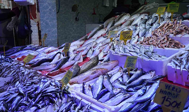 Balıkçılar 7 sezonda bir gelen bolluktan memnun