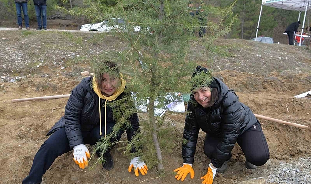 Bozüyük&#039;te Orman Haftası Coşkusu: Meyve Fidanları Toprakla Buluştu