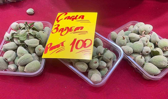 Bursa&#039;da Çağla Fiyatları Ramazan Sonunda Düştü