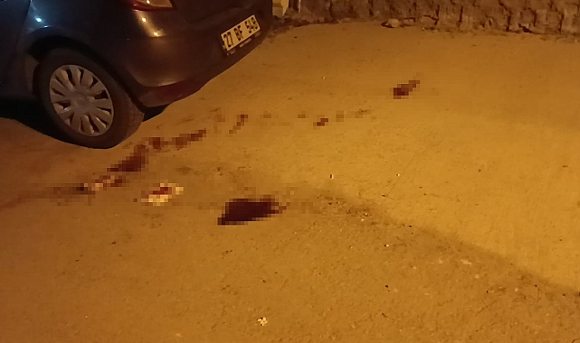 Gaziantep&#039;te İftar Vakti Kanlı Hesaplaşma: 2 Genç Hayatını Kaybetti