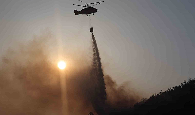 Güney Kore&#039;de Kontrol Altına Alınan Orman Yangınları Yeniden Alevlendi: Ölü Sayısı 30&#039;a Yükseldi