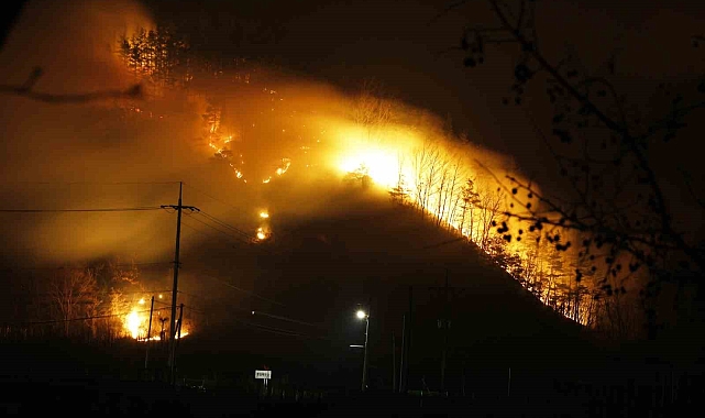 Güney Kore&#039;deki Orman Yangınlarında Acı Kayıp Artıyor: Ölü Sayısı 28&#039;e Yükseldi