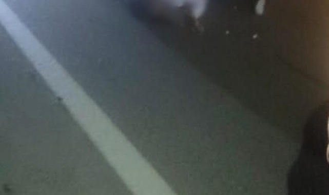 Hatay&#039;da Feci Kaza: Tırla Çarpışan Motosikletteki İki Genç Hayatını Kaybetti