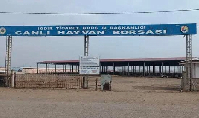 Iğdır Ticaret Borsası Duyurdu: Hayvan Pazarı Açılıyor