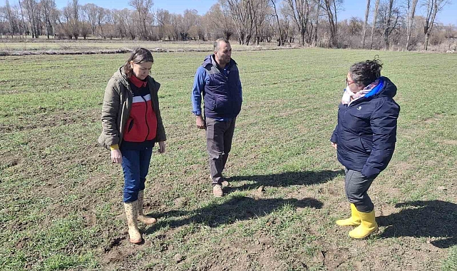 Kütahya&#039;da Tarla Faresiyle Mücadele Sürüyor: Araziler Kontrol Altında
