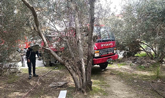 Manavgat&#039;ta Tavuk Kümesinde Yangın: Tavuklar Telef Olmaktan Kurtuldu
