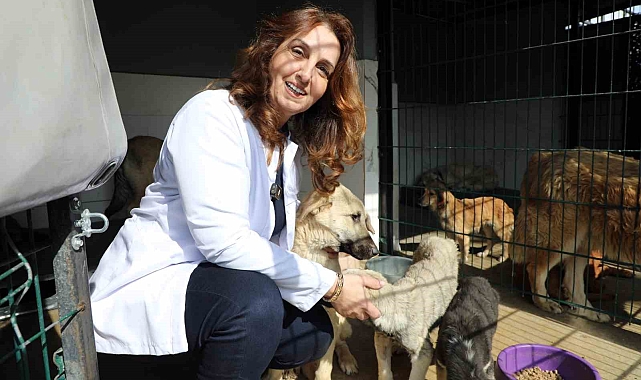 Mudanya Belediyesi&#039;nden Sahipsiz Hayvanlara Büyük Destek: Mama Üretim Tesisi Kapasitesini Artırdı