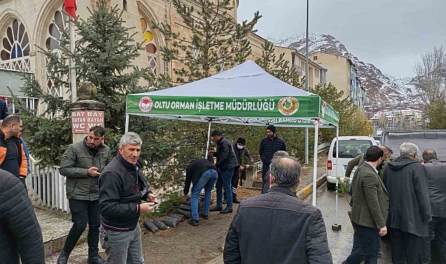 Oltu&#039;da Dünya Ormancılık Haftası Etkinliği: Vatandaşlara Ücretsiz Fidan Dağıtımı