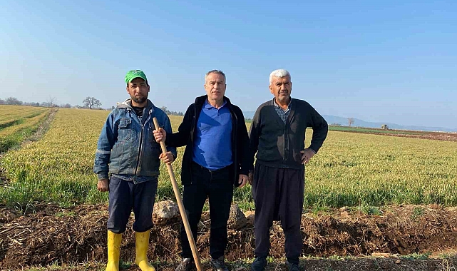 Osmaniye&#039;de Kuraklık Çiftçiyi Vurdu: Buğday Tarlaları Susuz Kaldı