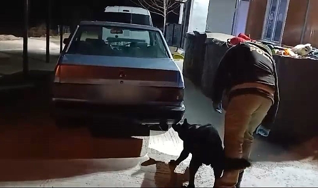 Samsun&#039;da Narkotik Köpeği Tony&#039;den Uyuşturucu Baskını