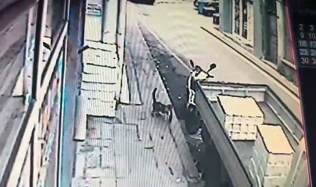 Sinop&#039;ta Balık Hırsızı Kedi Sosyal Medyayı Salladı