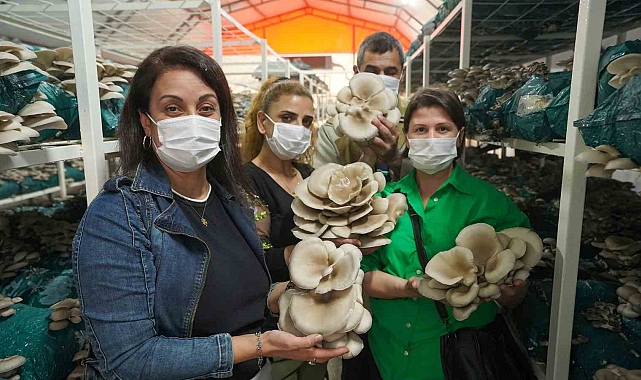 Tarsus Belediyesi&#039;nden Mantar Yetiştiriciliği Kursu: İstihdama ve Üretime Katkı