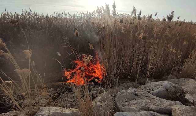 Van Gölü Sahilinde Sazlık Yangını Korkuttu