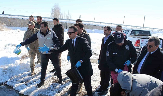 Van&#039;da Yaban Hayvanları İçin Seferberlik: Kaz Gölü&#039;ne 600 Kilo Yem Bırakıldı