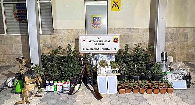 Afyonkarahisar'da 'Mevsimsel İklimlendirme'li Kenevir Serası: 2 Gözaltı