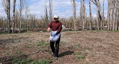 Akyaka'da elle tohum serpme geleneği devam ediyor