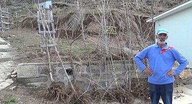 Almanya'dan Tunceli'ye Anlamlı Vefa: İş Adamı Düzgün Baba'ya Binlerce Ağaç Bağışladı