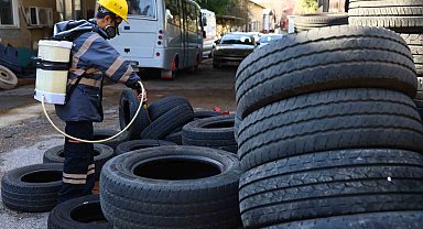 Antalya'da Vektörle Mücadele Seferberliği: Yaz Öncesi Önlemler Artırıldı