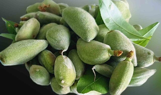 Araban&#039;ın İlk Bademleri Sofralarda: Yoğun İlgi Görüyor