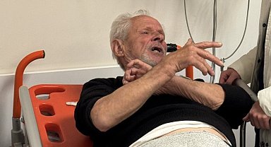 Balıkesir Erdek'te Ayı Saldırısı: Zeytinlikte Çalışan Adam Yaralandı