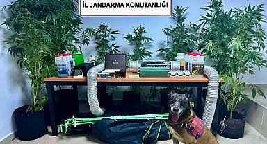 Bodrum'da Uyuşturucu Bahçesine Dönüştürülen Evde Öğretmen Açığa Alındı