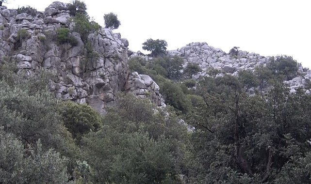 Bunalıma girip kayalıklara çıkan genç, ekipleri alarma geçirdi