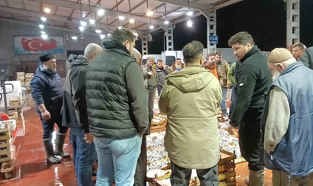 Büyük Balıkçı Tekneleri Limana Demirledi, Küçük Teknelerin Umudu Sürüyor