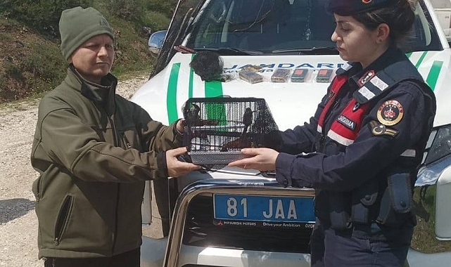 Düzce Jandarması&#039;ndan Kaçak Avcıya Geçit Yok