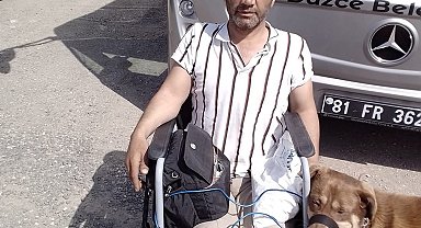 Düzce'de Tekerlekli Sandalyeli Engelli Vatandaş Otomobil Çarpması Sonucu Hayatını Kaybetti