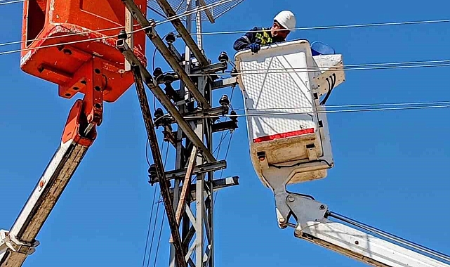 Edirne&#039;de Leylekler İçin Yuva Seferberliği