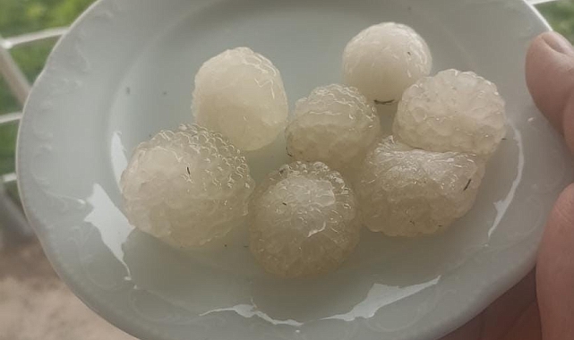 Elazığ&#039;ın ilçe ve köylerinde dolu etkili oldu