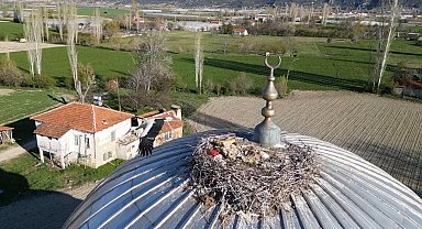 Elmalı'nın Misafirleri: Nisan Ayında Gelen Leylekler Yuvalarına Kavuştu, Cami Kubbesi Yıllardır Aynı Leyleği Ağırlıyor