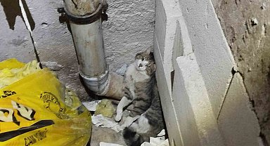 Erzincan'da İtfaiye Kediyi Sıkıştığı Havalandırma Boşluğundan Kurtardı