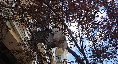 Eskişehir'de Akıl Almaz Görüntü: Cadde Kenarındaki Ağaç Çöp Kovasına Döndü