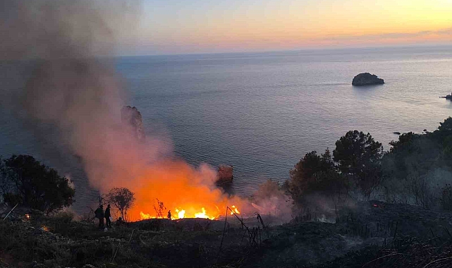 Gazipaşa&#039;da Muz Bahçesinde Korkutan Yangın: 5 Saatte Kontrol Altına Alındı