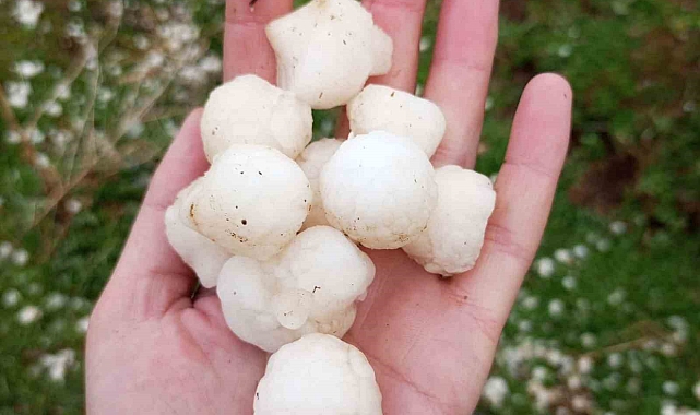 Gevaş&#039;ta ceviz büyüklüğünde dolu yağdı