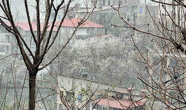 Hakkari&#039;de Nisan ayında kar yağışı etkili oldu