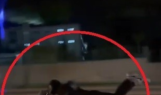 Hatay&#039;da Ölümle Dans: Motosiklet Üzerine Yatarak Trafikte Seyreden Sürücüye Ağır Ceza