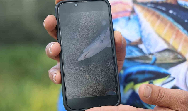 Hataylı Balıkçıdan Oltasına Takılan Yavru Köpekbalığına Nasihat: &quot;Bir Daha Oltamıza Gelme, Herkes Bizim Kadar Vicdanlı Olmayabilir&quot;