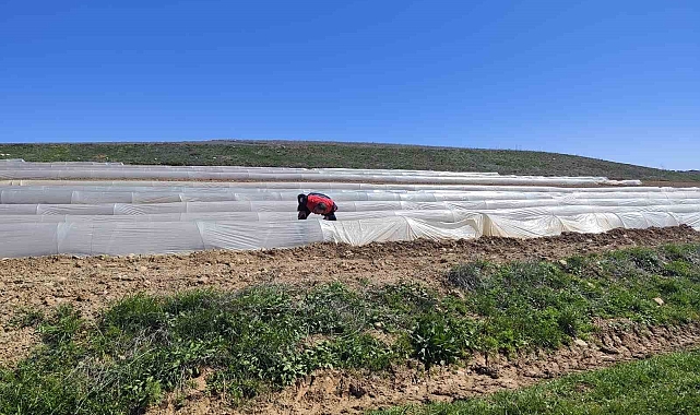 Hüyük&#039;teki meyve üreticisi de zirai don mağduru oldu