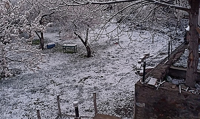 İlkbahar Sürprizi: Yağmur, Soğuk ve Kar, Tuzluca&#039;da Meyve Ağaçlarını Tedirgin Ediyor